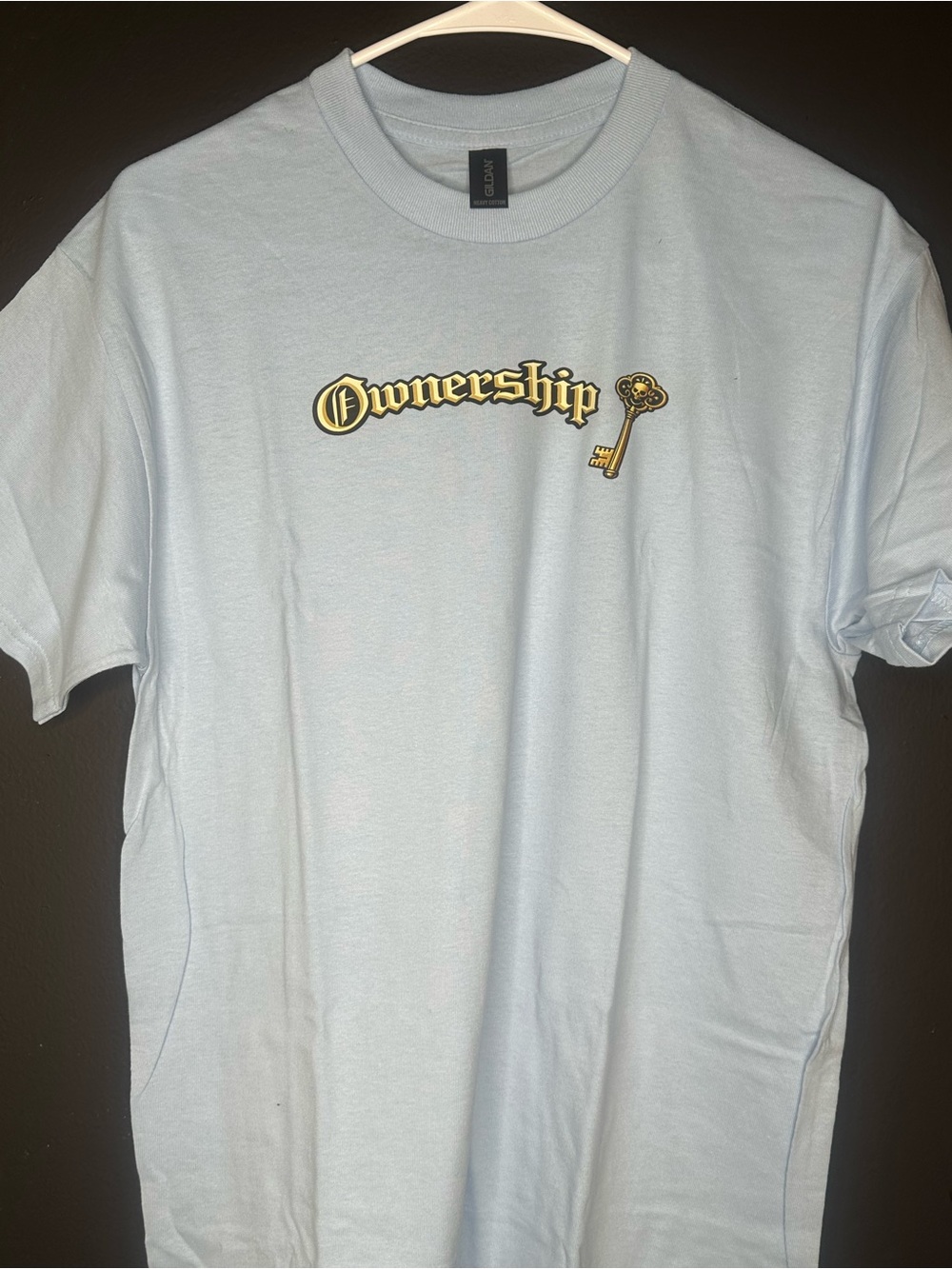 Ownership Graphic Tee - Light Blue